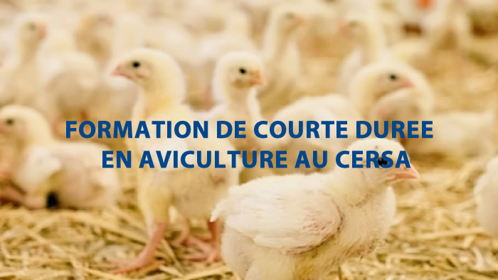 AVIS DE FORMATION COURTE DUREE 2025 | INSCRIPTION POUR LA FORMATION EN AVICULTURE AU CERSA